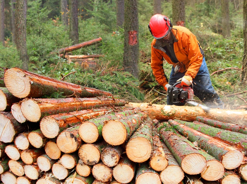 Logging-Company-Tacoma-WA