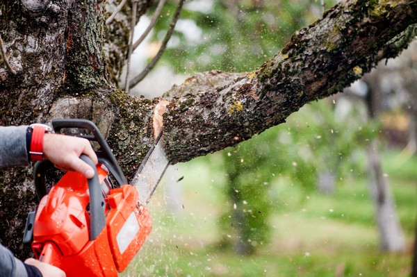 DuPont Commercial tree pruning 